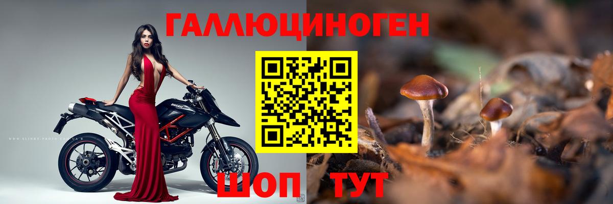 Псилоцибиновые грибы Cubensis  Псилоцибиновые грибы прущие грибы  Всеволожск  Вход с VPN 